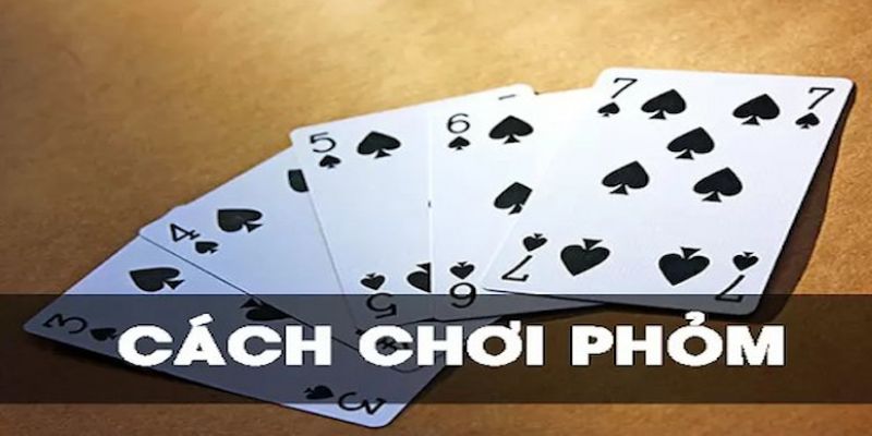 Thuật ngữ game bài Phỏm siêu dễ nhớ