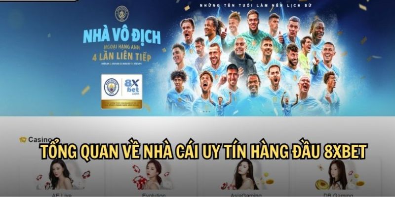 Sơ lược về trang web 8XBET